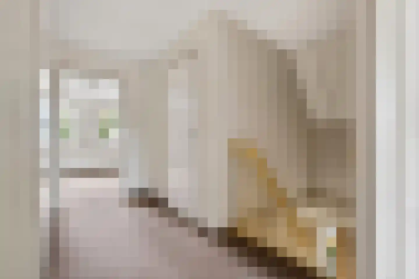 Rinia van Nautaweg 35 A Gytsjerk thumbnail 34