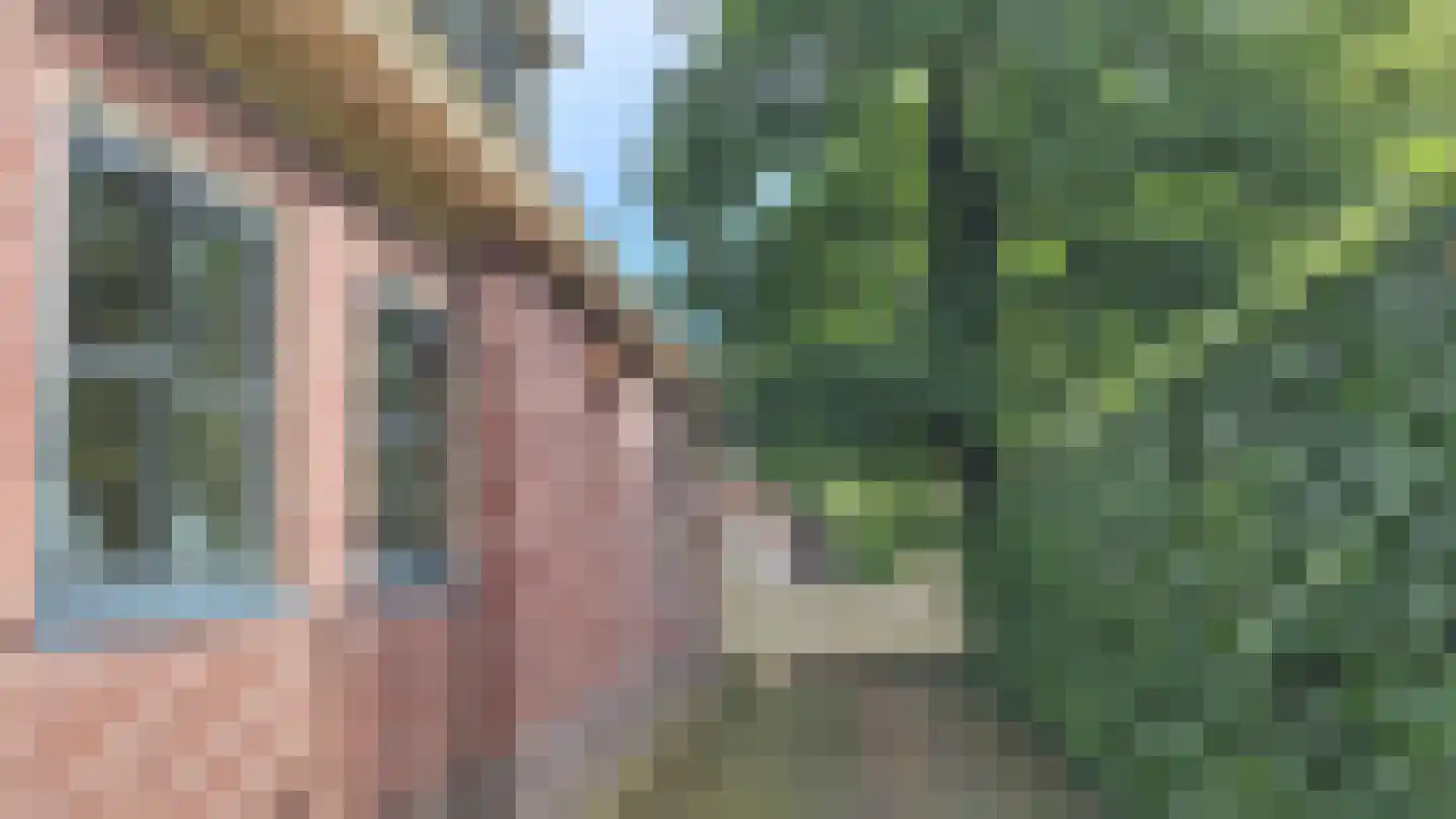 Rinia van Nautaweg 35 A Gytsjerk thumbnail 5