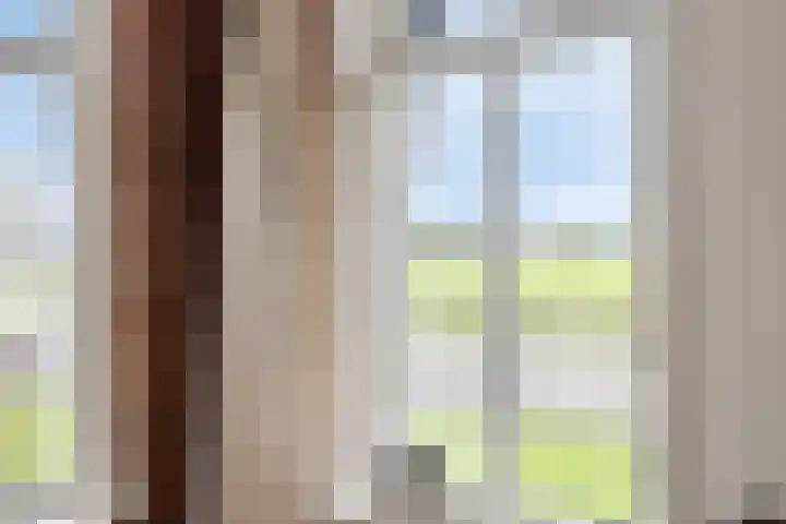 Rinia van Nautaweg 6 Gytsjerk thumbnail 12