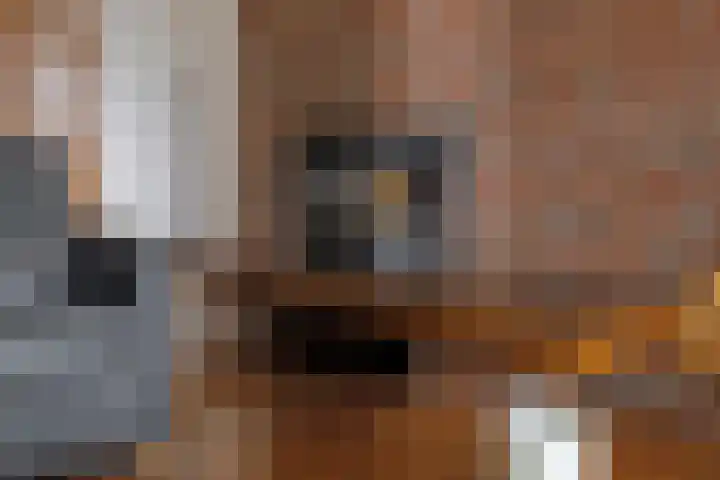 Rinia van Nautaweg 6 Gytsjerk thumbnail 14