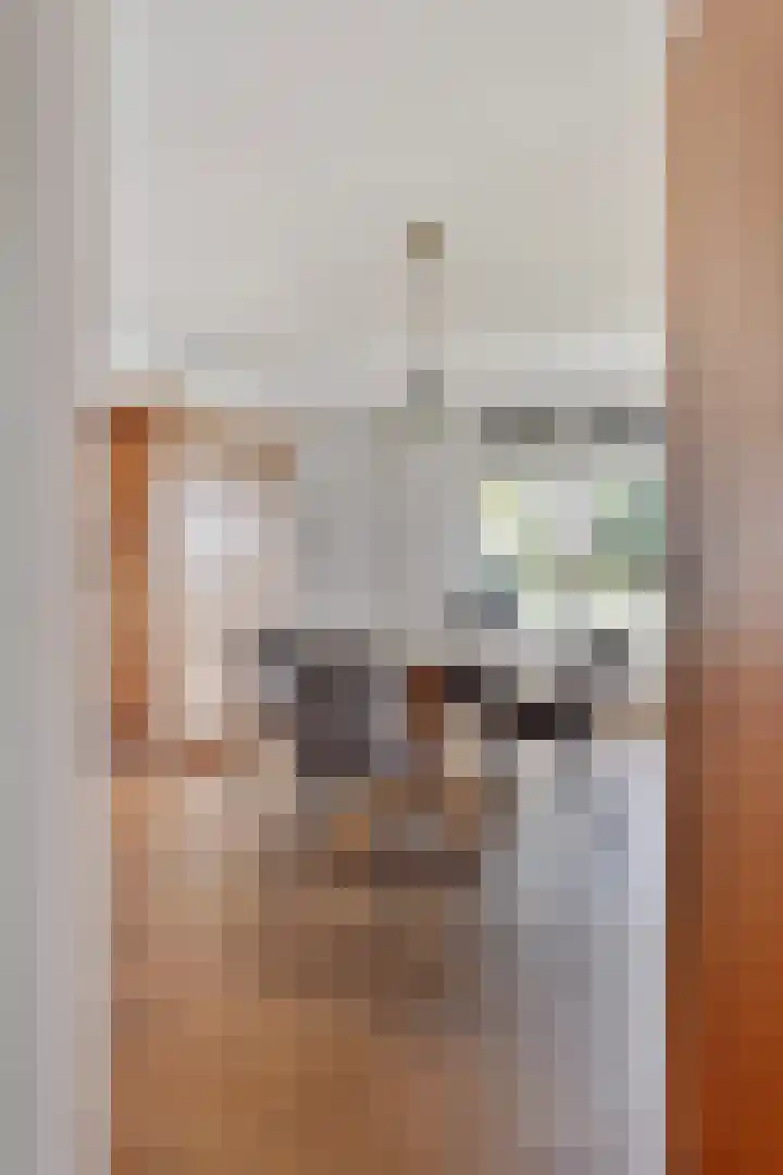 Rinia van Nautaweg 6 Gytsjerk thumbnail 17