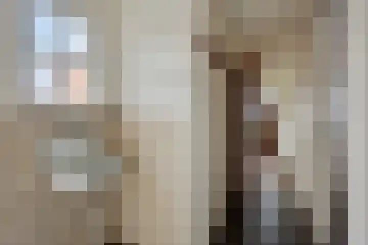 Rinia van Nautaweg 6 Gytsjerk thumbnail 25