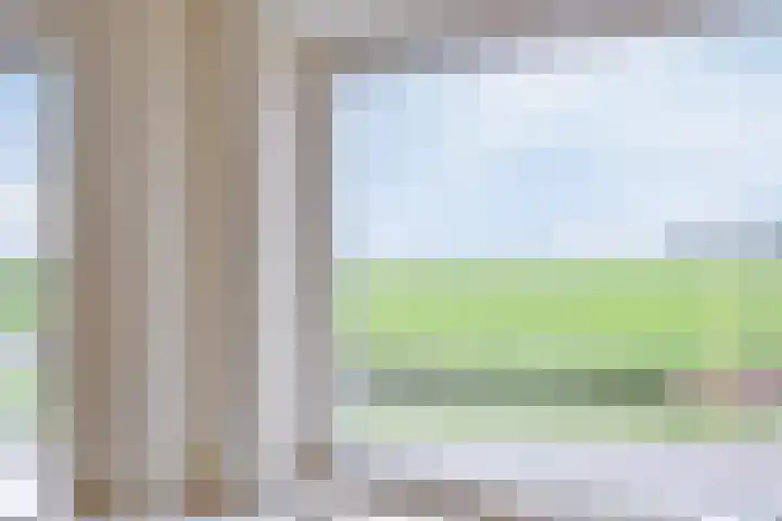 Rinia van Nautaweg 6 Gytsjerk thumbnail 31