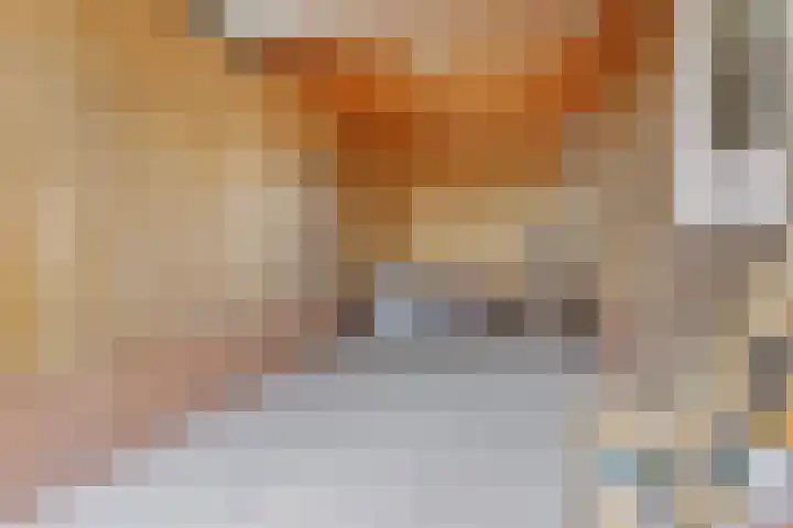 Rinia van Nautaweg 6 Gytsjerk thumbnail 37