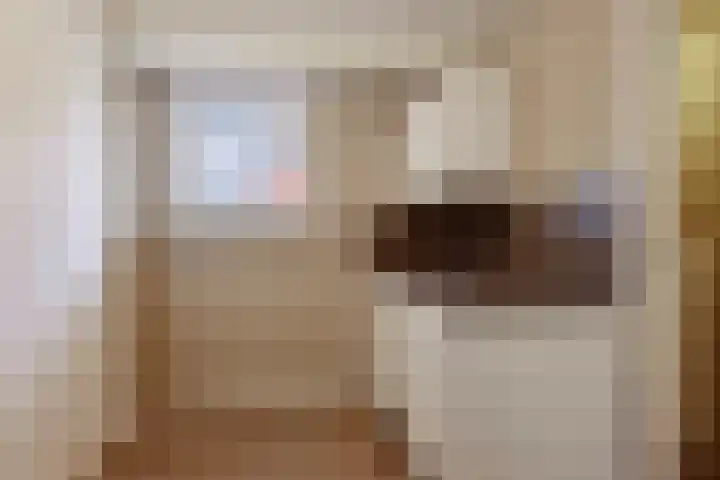 Rinia van Nautaweg 6 Gytsjerk thumbnail 45