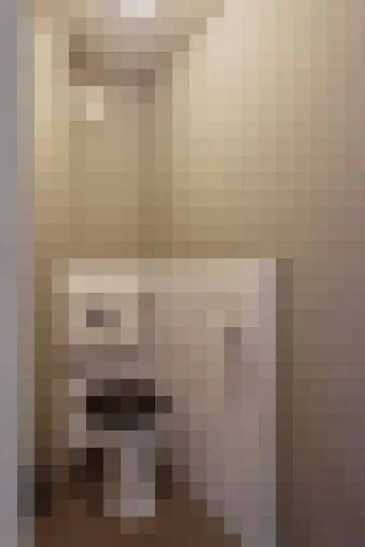 Rinia van Nautaweg 6 Gytsjerk thumbnail 46