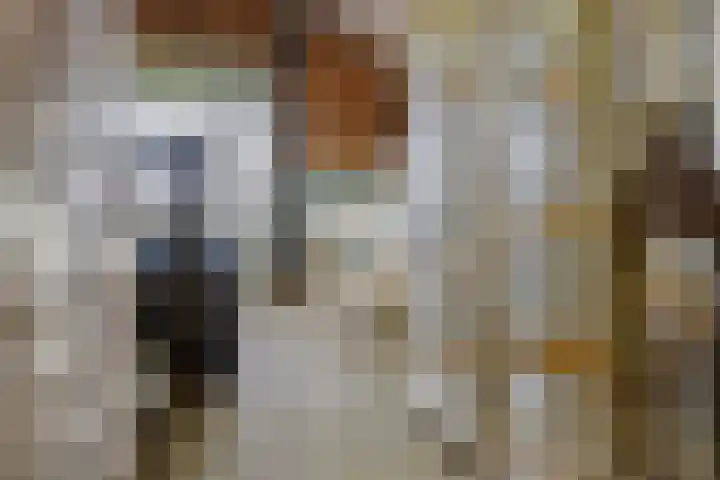 Rinia van Nautaweg 6 Gytsjerk thumbnail 49