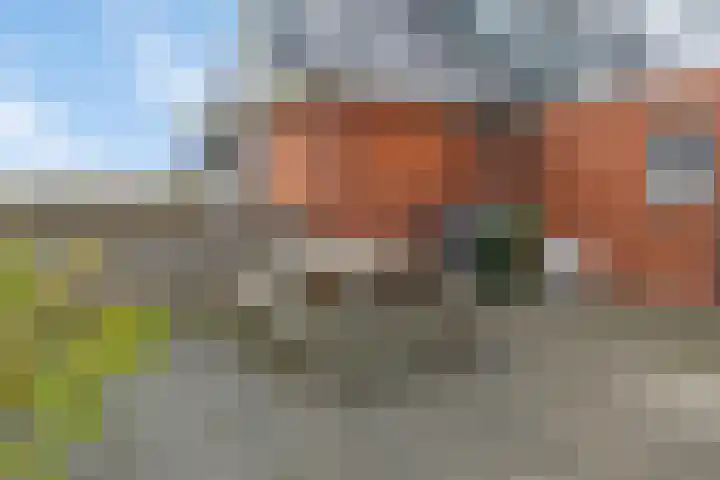 Rinia van Nautaweg 6 Gytsjerk thumbnail 53