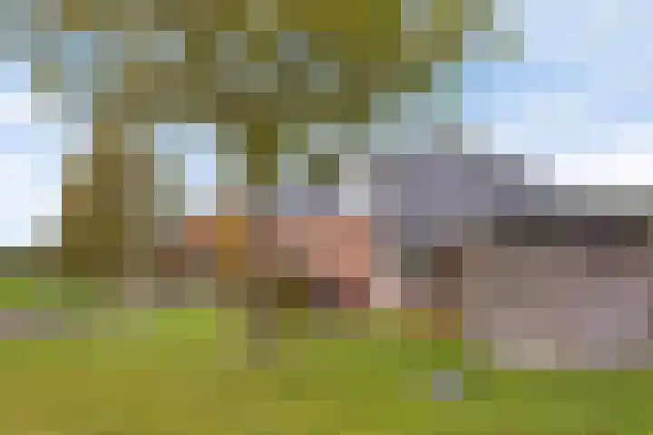 Rinia van Nautaweg 6 Gytsjerk thumbnail 56