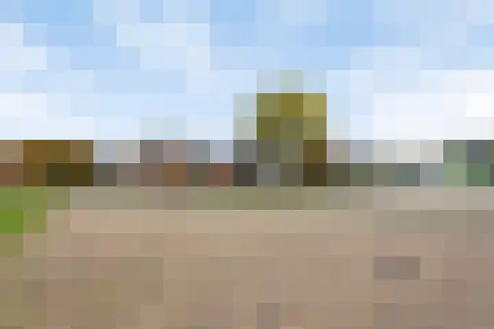 Rinia van Nautaweg 6 Gytsjerk thumbnail 58