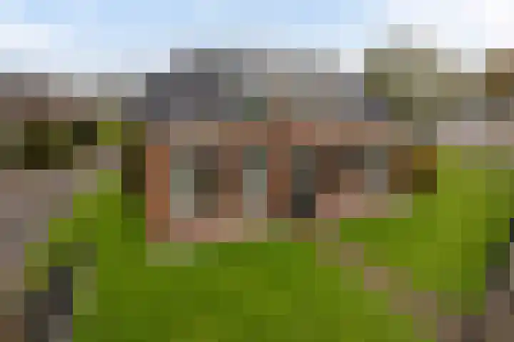 Rinia van Nautaweg 6 Gytsjerk thumbnail 6