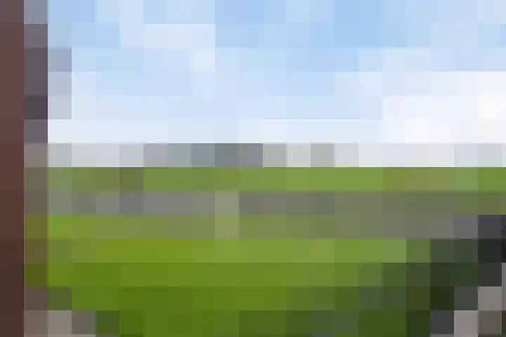 Rinia van Nautaweg 6 Gytsjerk thumbnail 61