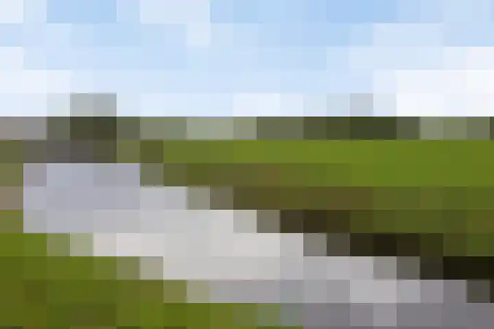 Rinia van Nautaweg 6 Gytsjerk thumbnail 62