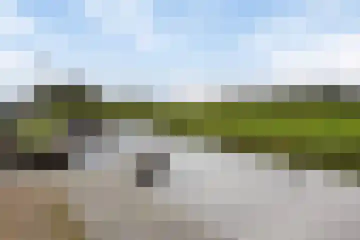 Rinia van Nautaweg 6 Gytsjerk thumbnail 63