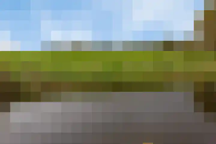 Rinia van Nautaweg 6 Gytsjerk thumbnail 64