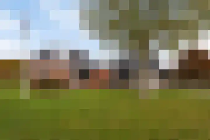 Rinia van Nautaweg 6 Gytsjerk thumbnail 7