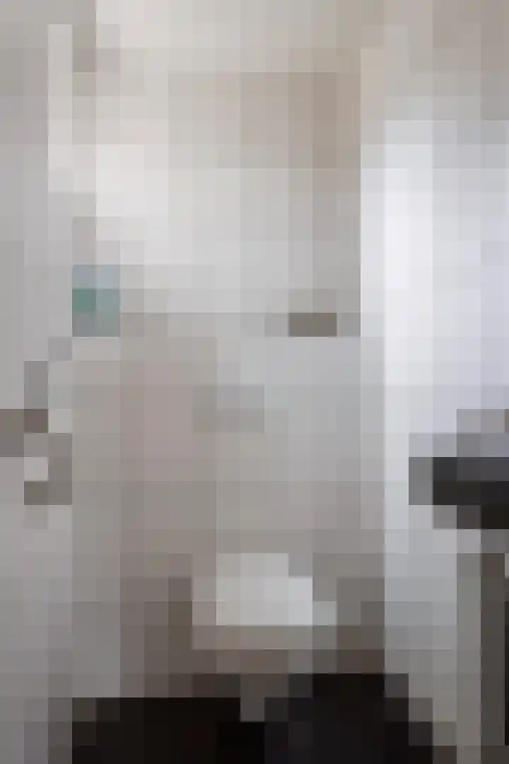 Rinia van Nautaweg 6 Gytsjerk thumbnail 9