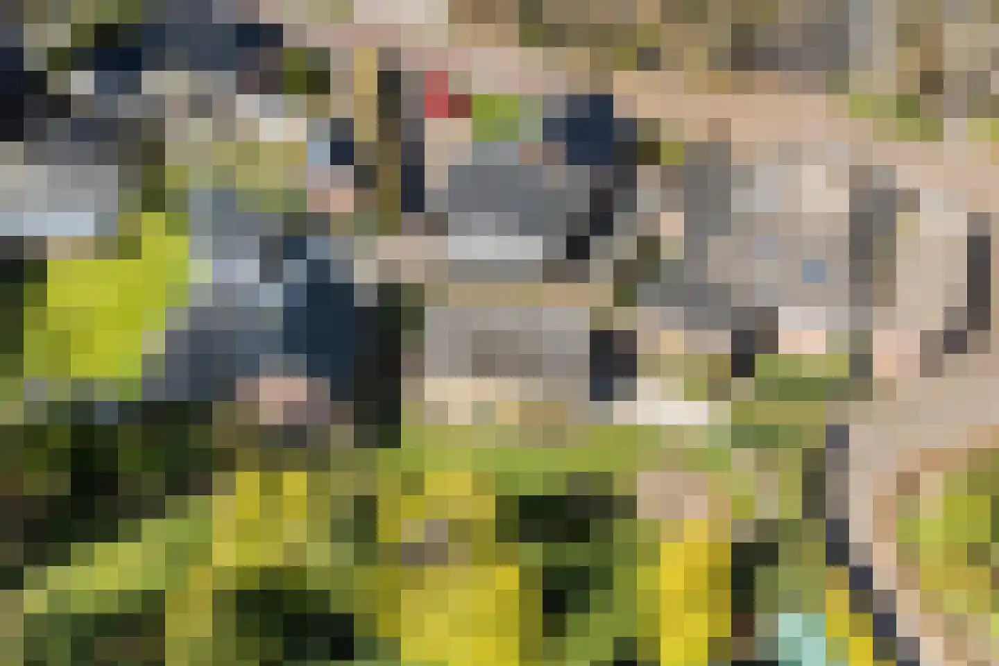 Rinia van Nautaweg 60 Gytsjerk thumbnail 5