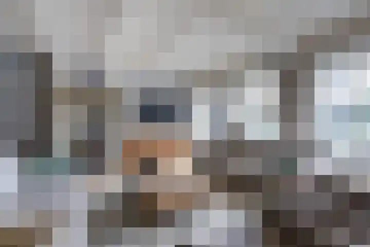 Rinkesfort 14 A Maasbree thumbnail 10