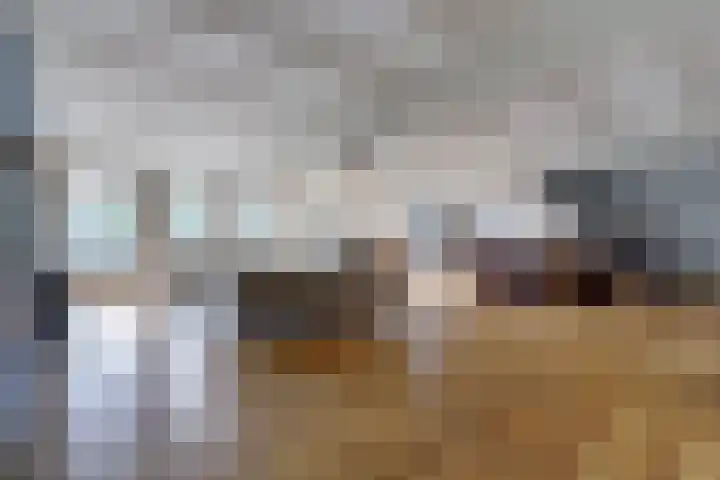 Rinkesfort 14 A Maasbree thumbnail 11