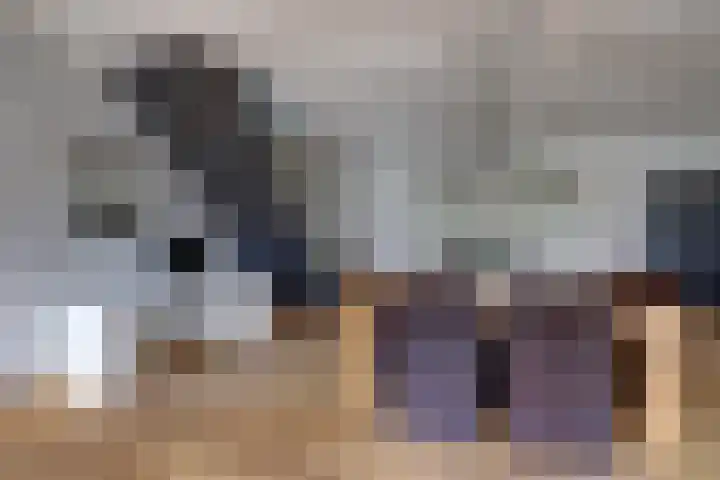 Rinkesfort 14 A Maasbree thumbnail 13