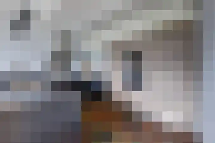 Rinkesfort 14 A Maasbree thumbnail 18