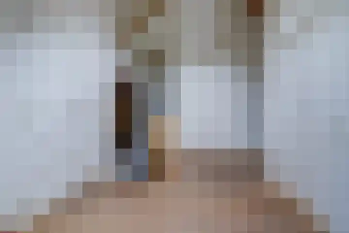 Rinkesfort 14 A Maasbree thumbnail 25