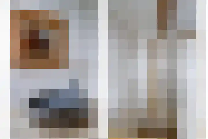 Rinkesfort 14 A Maasbree thumbnail 29
