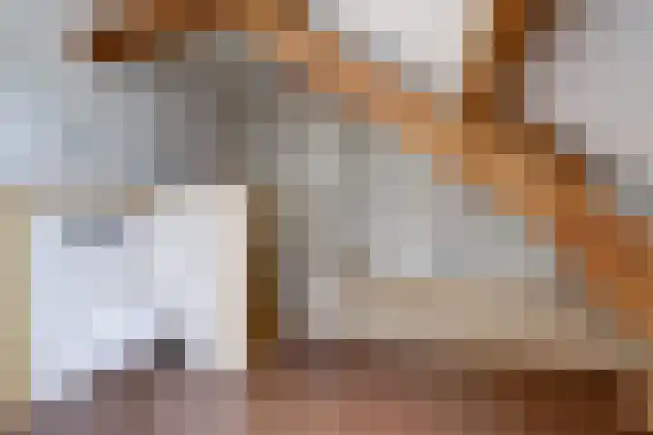Rinkesfort 14 A Maasbree thumbnail 30