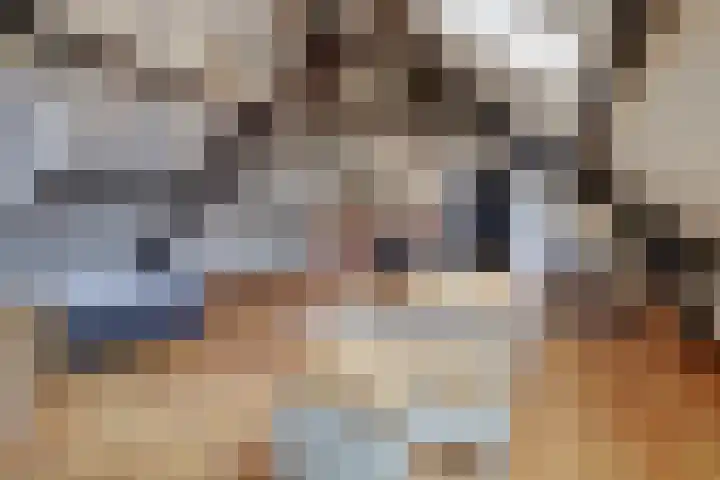 Rinkesfort 14 A Maasbree thumbnail 32