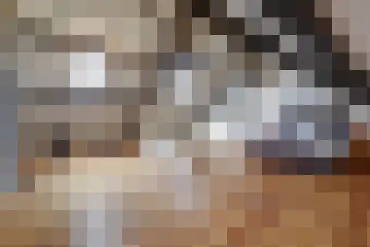 Rinkesfort 14 A Maasbree thumbnail 33