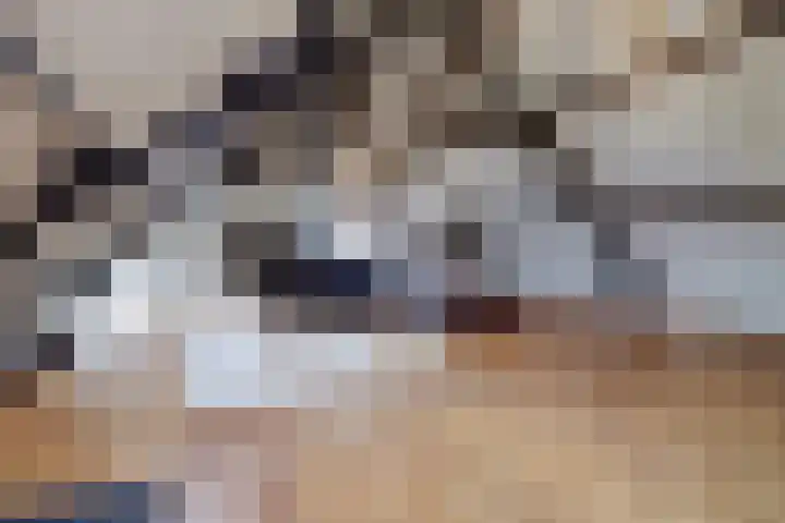 Rinkesfort 14 A Maasbree thumbnail 35