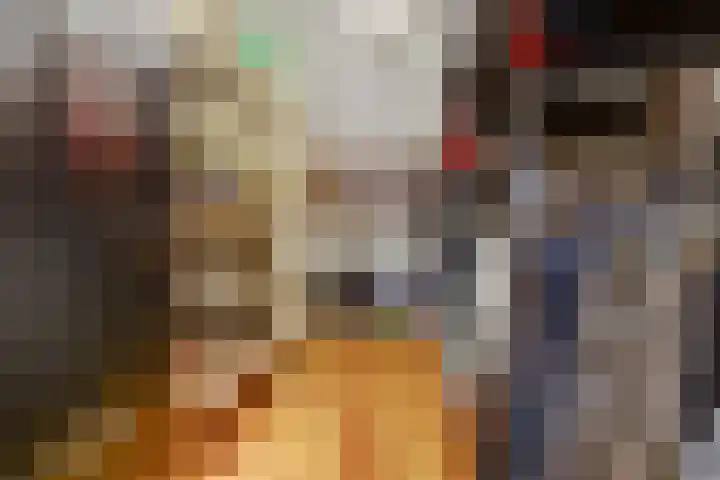Rinkesfort 14 A Maasbree thumbnail 36