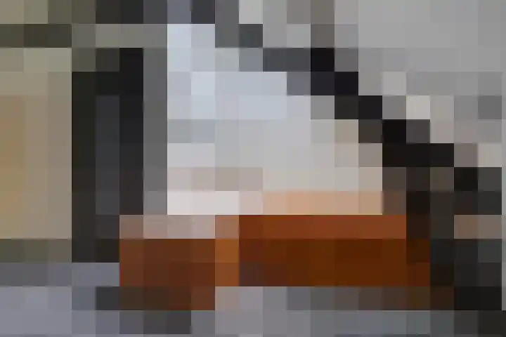 Rinkesfort 14 A Maasbree thumbnail 39