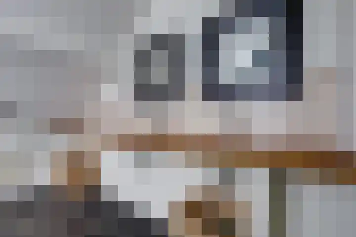 Rinkesfort 14 A Maasbree thumbnail 40