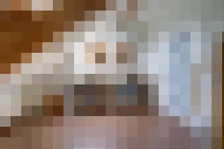 Rinkesfort 14 A Maasbree thumbnail 41