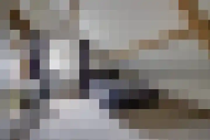 Rinkesfort 14 A Maasbree thumbnail 43