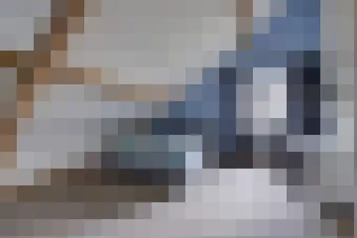 Rinkesfort 14 A Maasbree thumbnail 44