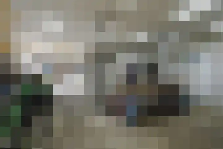 Rinkesfort 14 A Maasbree thumbnail 45