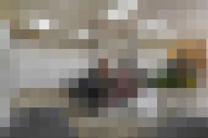 Rinkesfort 14 A Maasbree thumbnail 46