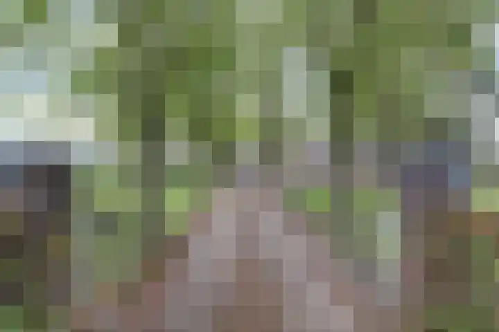 Rinkesfort 14 A Maasbree thumbnail 5
