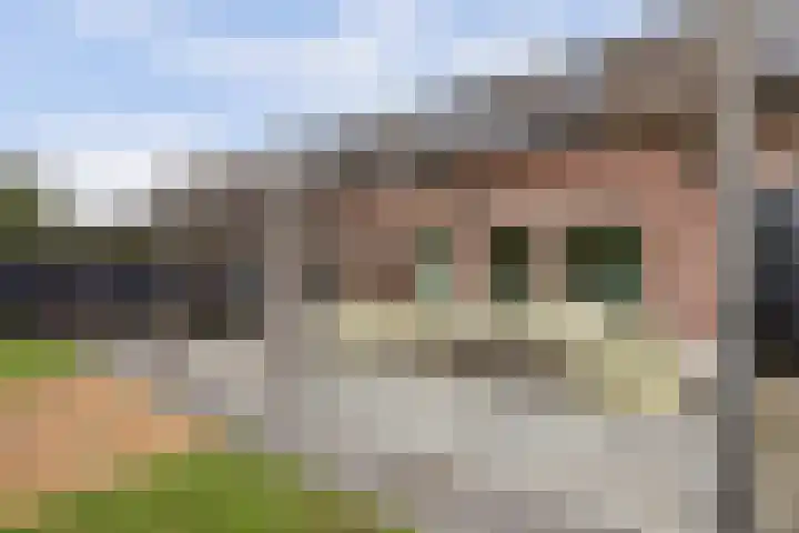 Rinkesfort 14 A Maasbree thumbnail 50