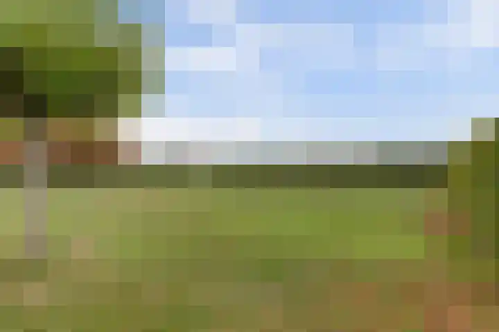 Rinkesfort 14 A Maasbree thumbnail 55