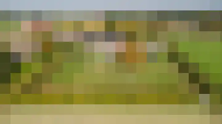 Rinkesfort 14 A Maasbree thumbnail 65