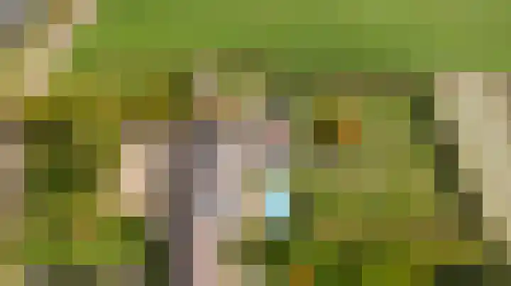 Rinkesfort 14 A Maasbree thumbnail 66