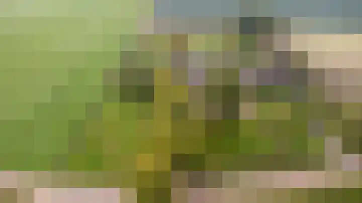 Rinkesfort 14 A Maasbree thumbnail 67