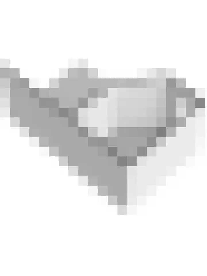 Rinkesfort 14 A Maasbree thumbnail 76