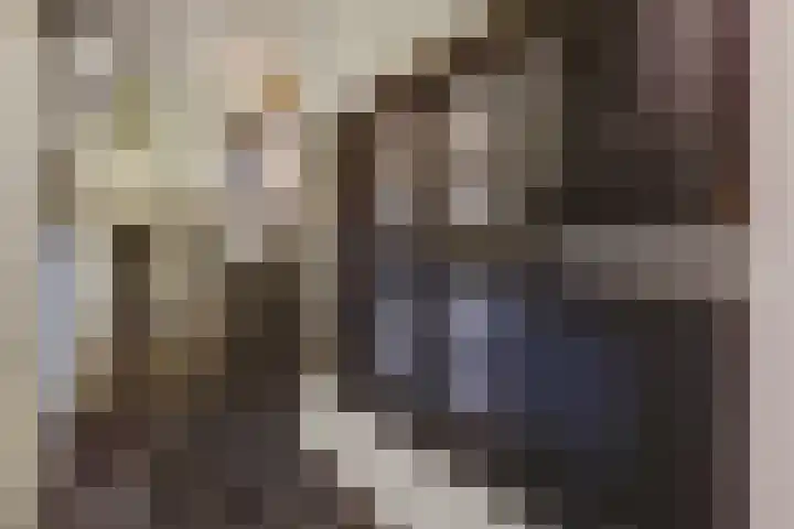 Rinkesfort 14 A Maasbree thumbnail 9