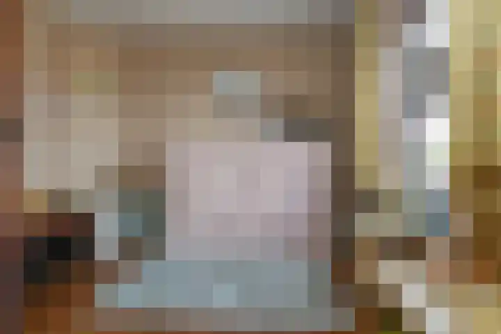 Rinkesfort 3 Maasbree thumbnail 11