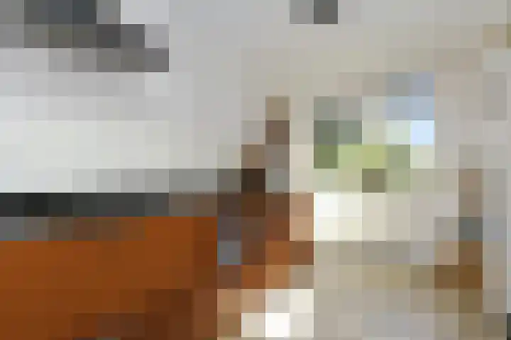 Rinkesfort 3 Maasbree thumbnail 14